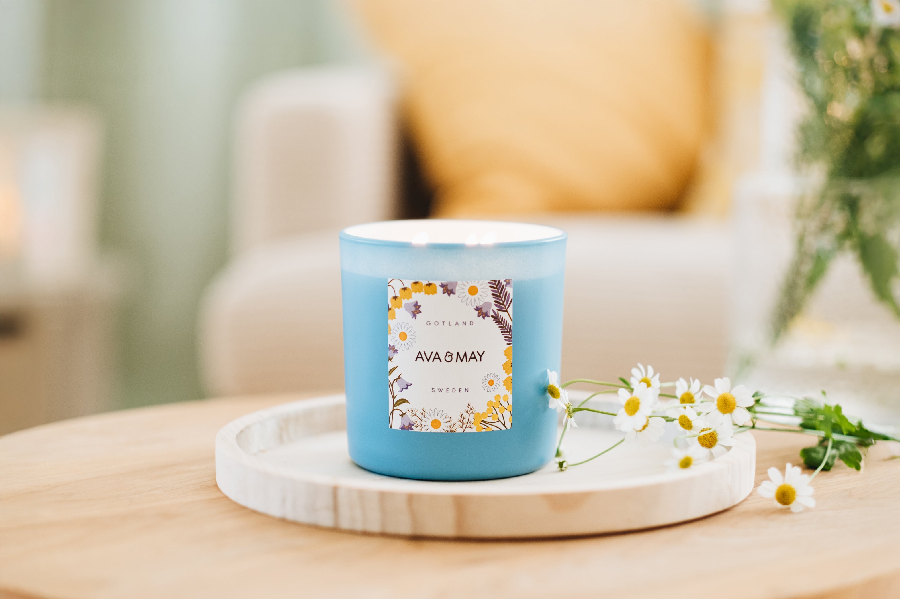 Fresh Air Collection Set