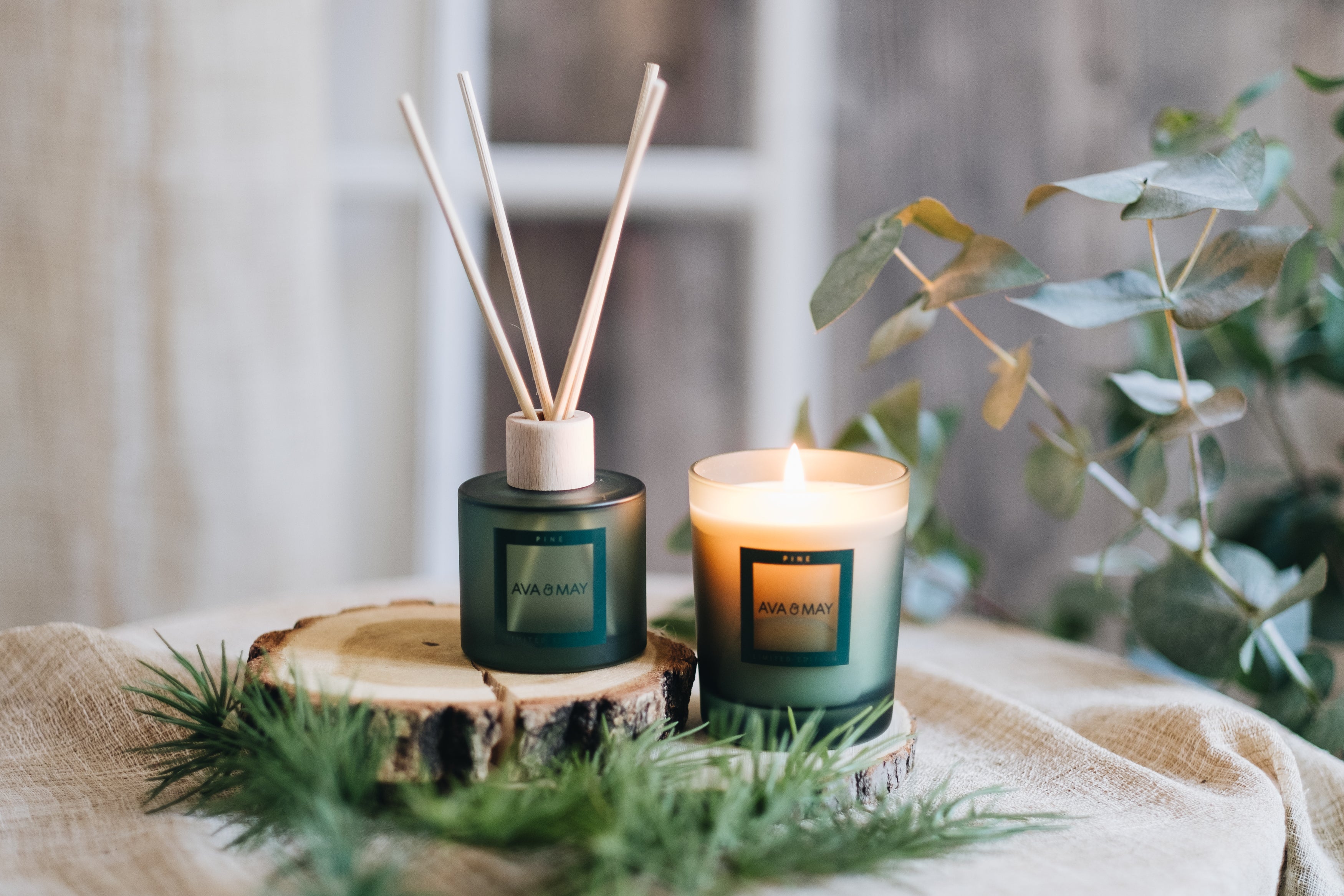Pine Home Fragrance Set