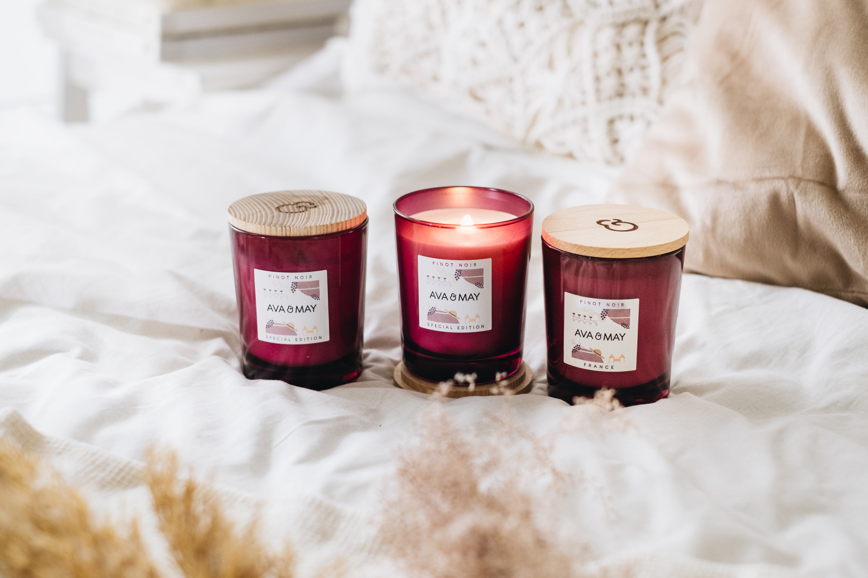 Winter’s Favorites