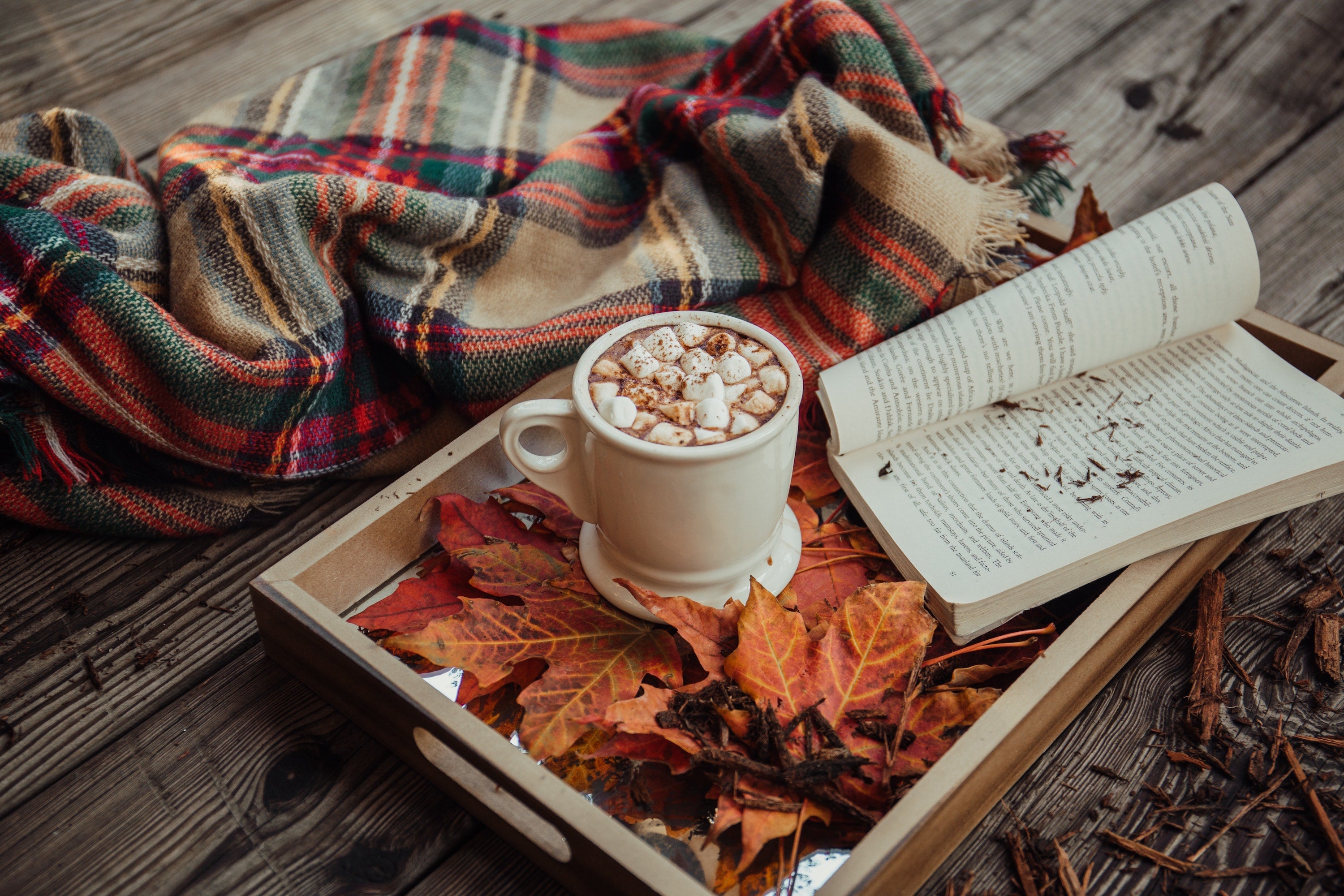 Aufgepasst: Wir versüßen dir den Herbst!