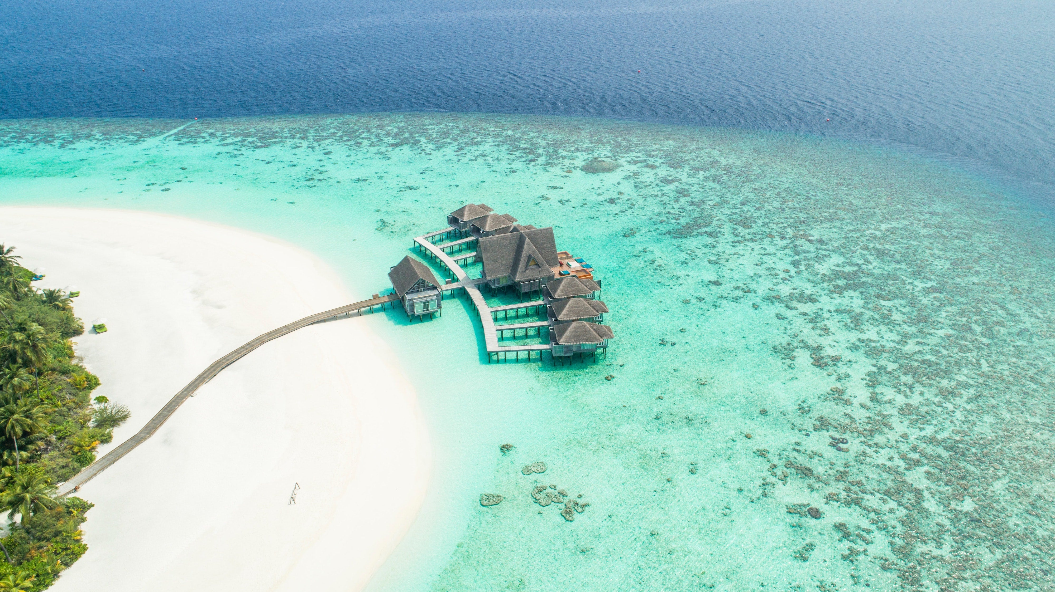 Take me to the Maldives!