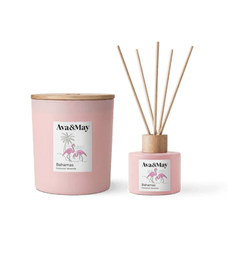 Bahamas Paradise Set