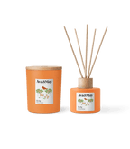 Sicily Home Fragrance Set - Ava&May - Germany