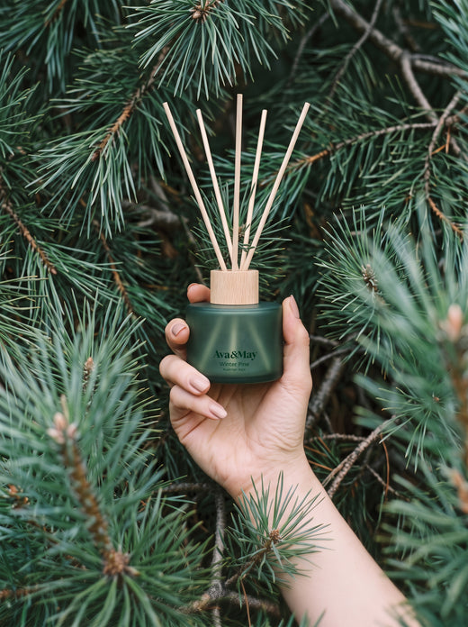 Winter Pine Duftstäbchen