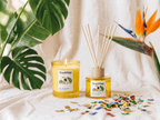 Rio de Janeiro Home Fragrance Set - Ava&May - Germany