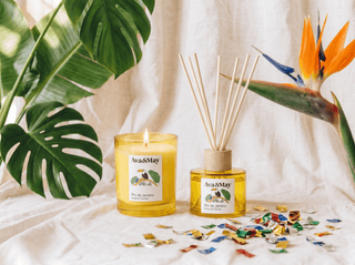 Rio de Janeiro Home Fragrance Set