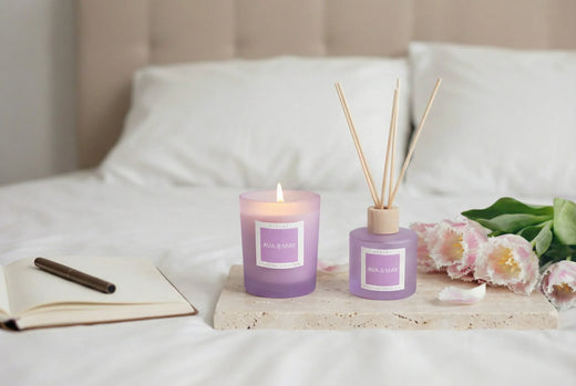 XOXO Violet Set