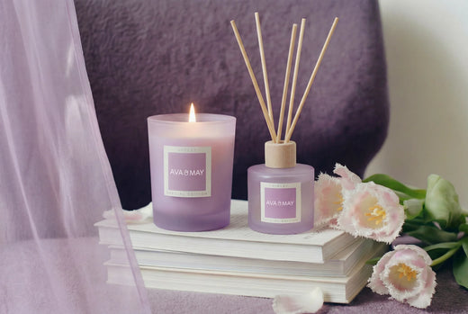 XOXO Violet Set