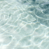Aquatische Noten