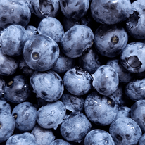 Blaubeere