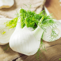 Fenchel