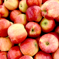 Roter Apfel