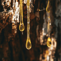 Resin