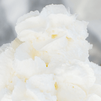 Whipped cream